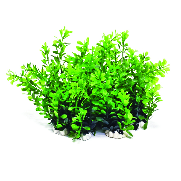 PROFIT POWER PACK PLANT