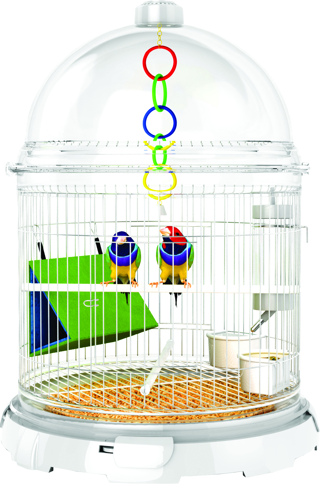 BIRD BUNDLE KIT