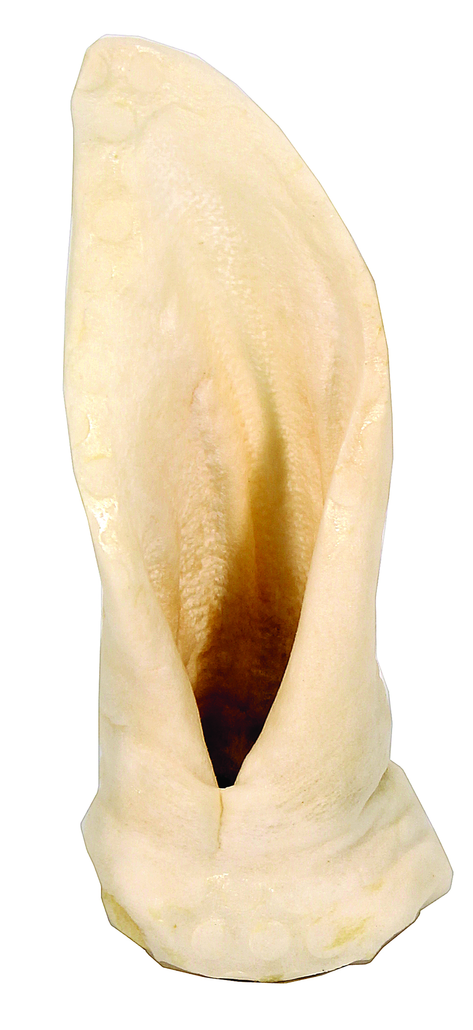 PUFFED LAMB EAR DOG TREAT