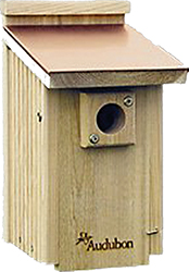 CopperTop Cedar Bluebird House