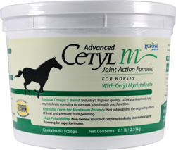 ADVANCED CETYL M JOINT ACTION FORMULA FOR HORSES