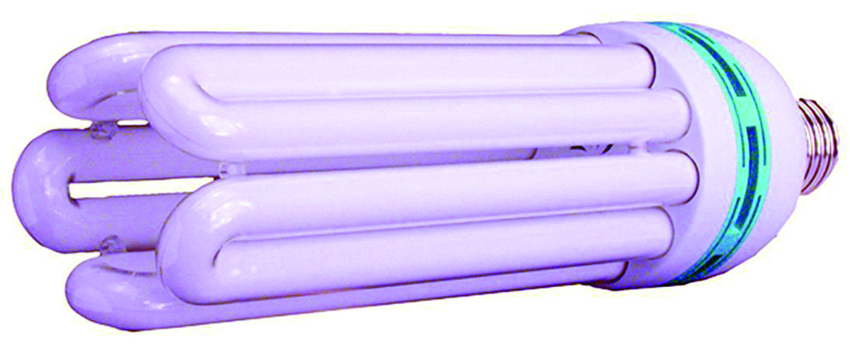 LIGHT SYSTEM