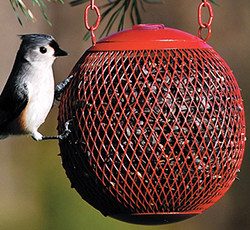 NO/NO THE SEED BALL WILD BIRD FEEDER