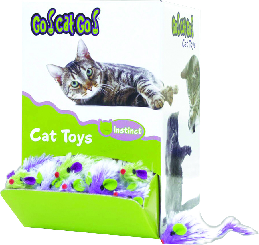GO CAT GO MINIS BULK DISPLAY