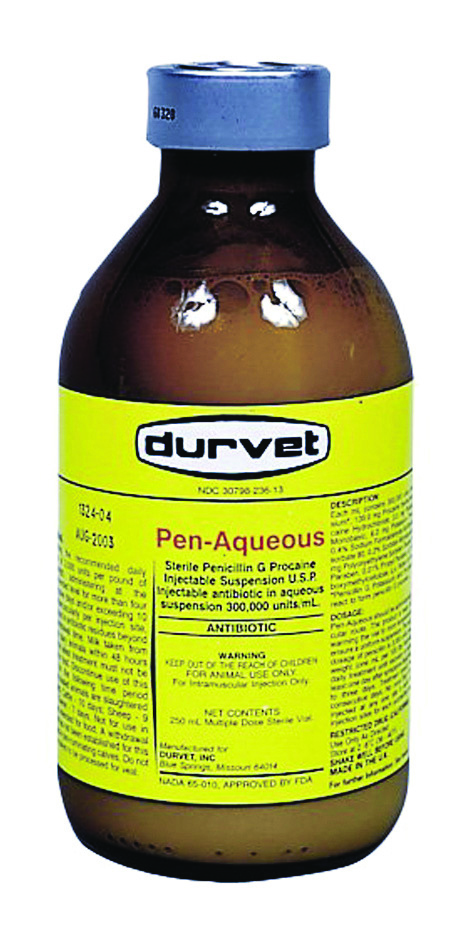 Pen-Aqueous G Procain 250 cc