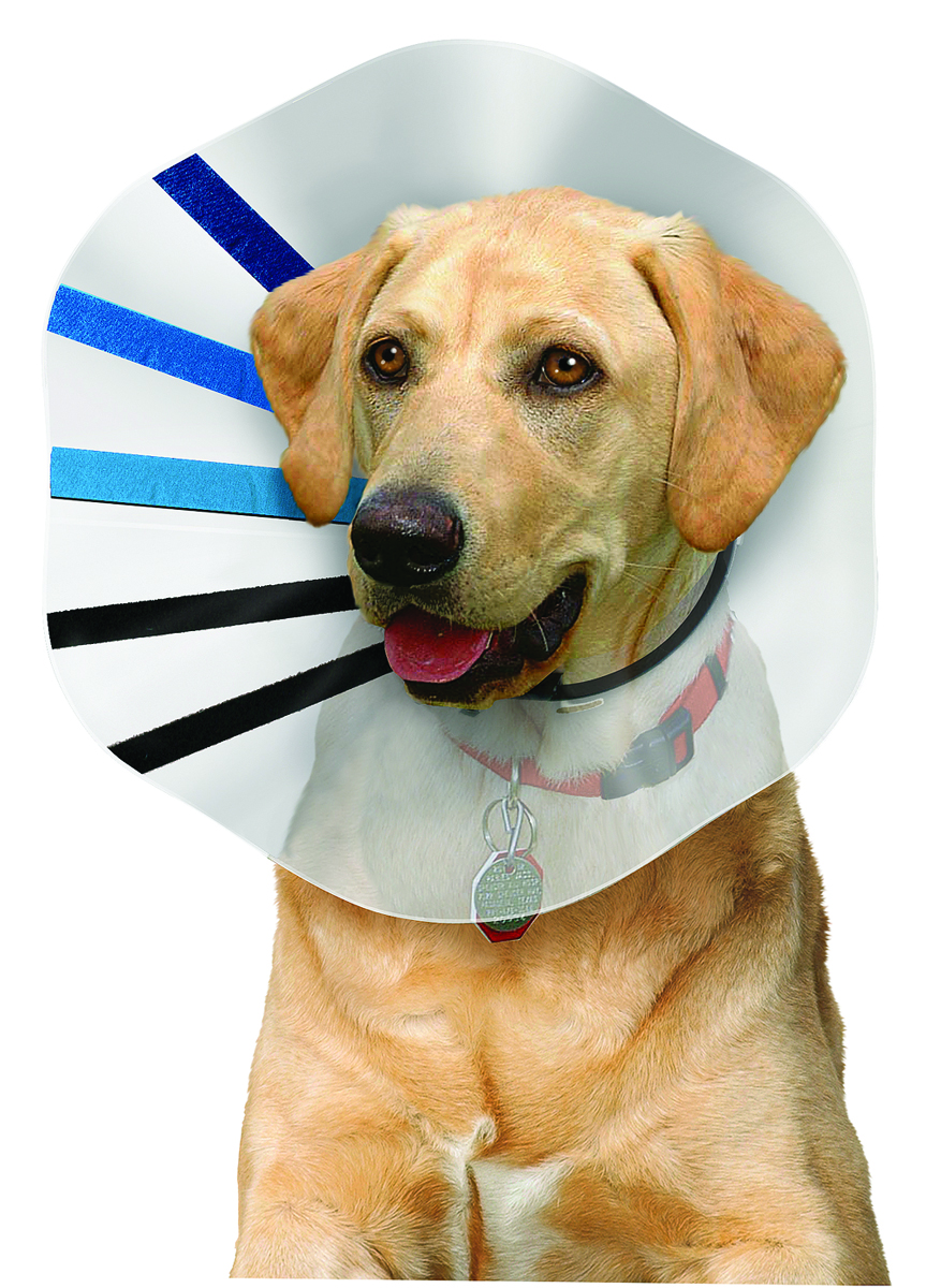 E-Collar Fits 9-12" - Medium