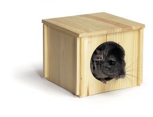 Chin Hut