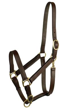 STABLE HALTER