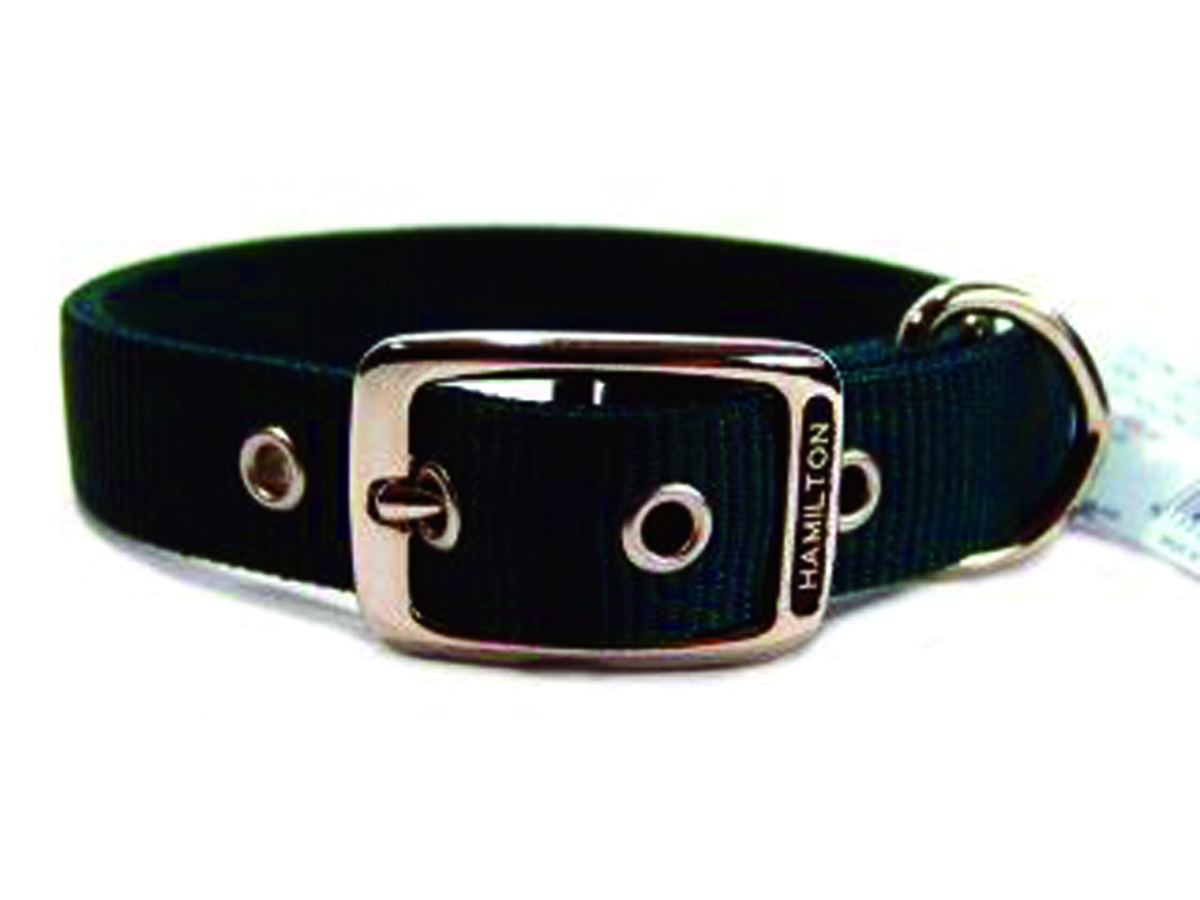 Deluxe Double Thick Nylon Collar - Hunter - 1" X 20"