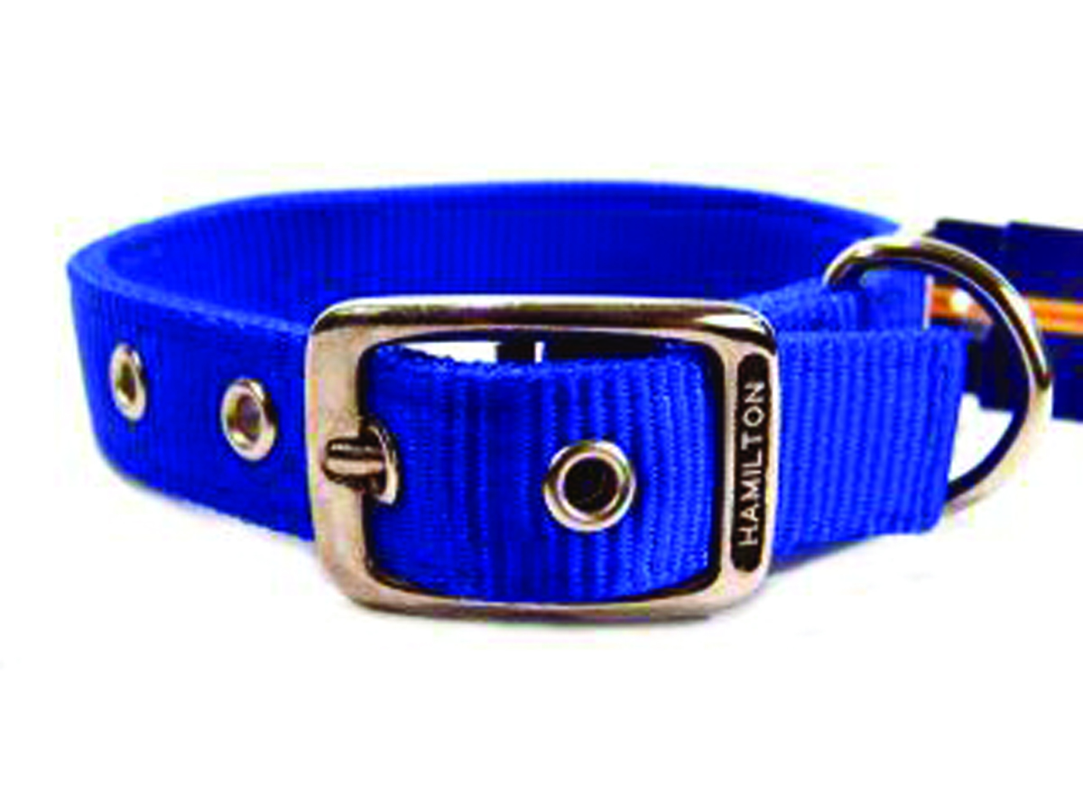 Deluxe Double Thick Nylon Collar - Blue - 1" X 18"