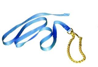 Nylon Lead W/chain 7ft - Blue