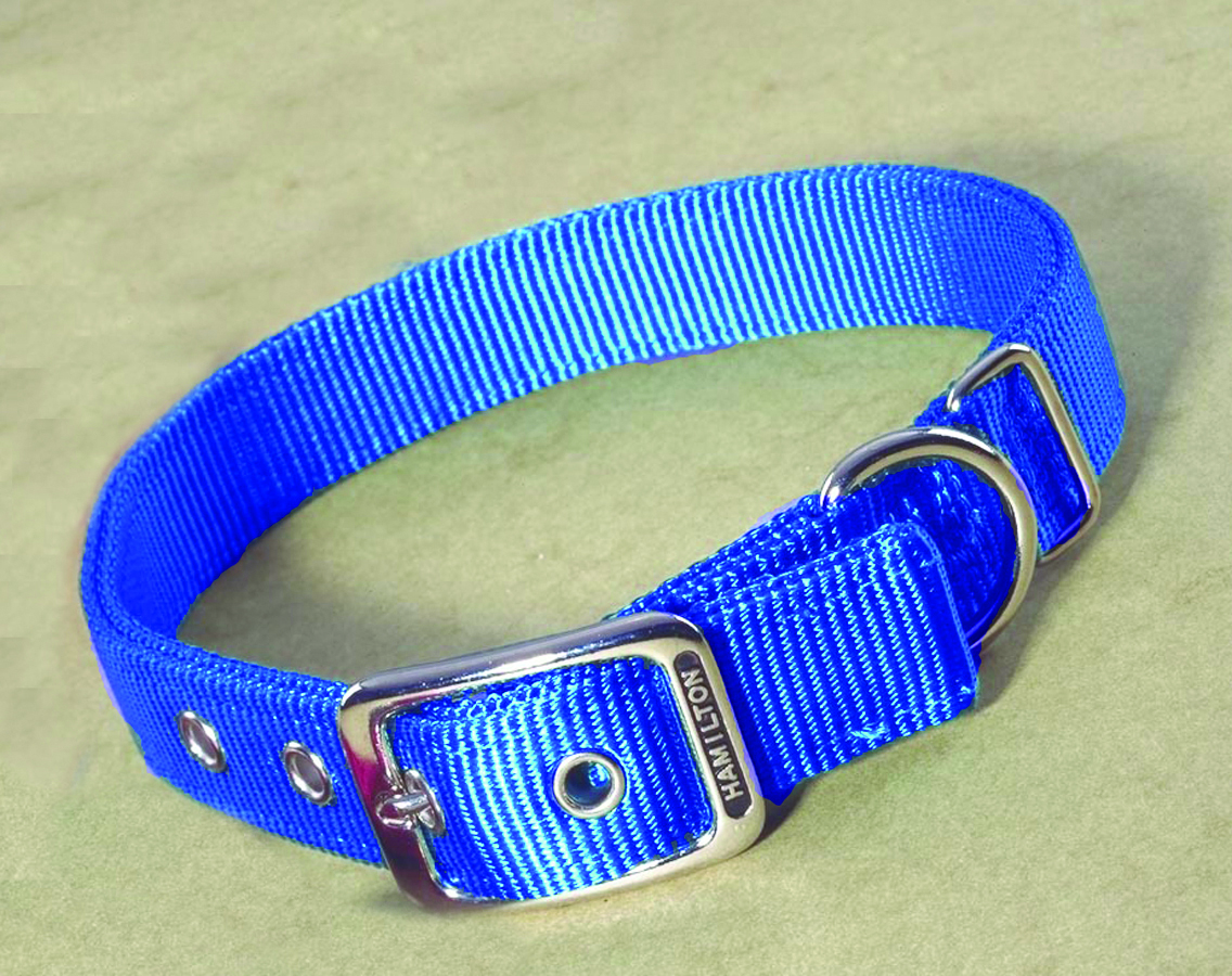 Deluxe Double Thick Nylon Collar - Blue - 1" X 32"