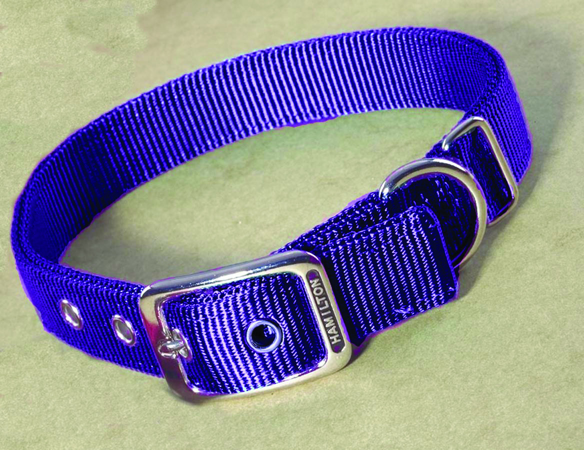 Deluxe Double Thick Nylon Collar - Hot Purple - 1" X 22"