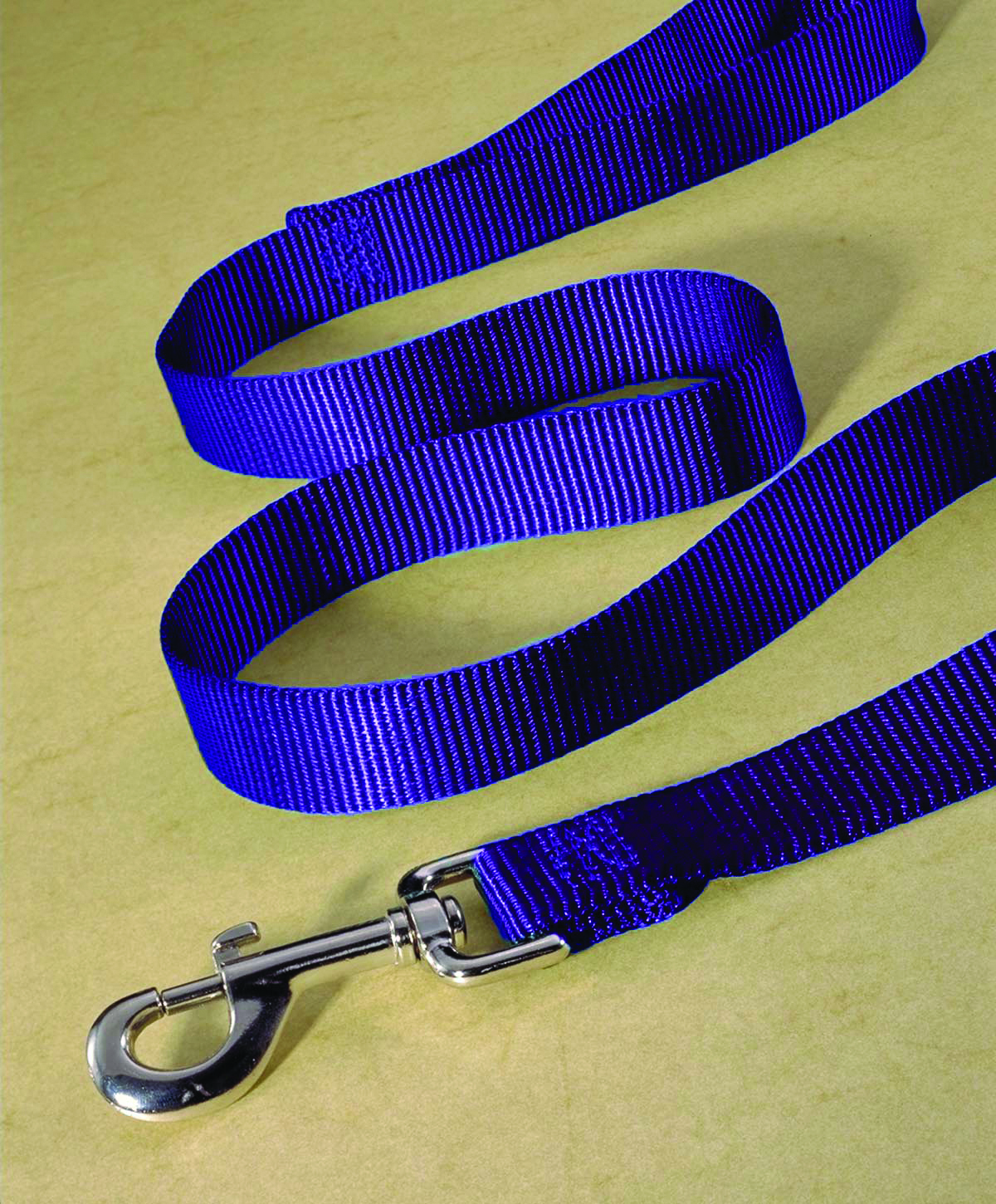 Single Thick Nylon Leash With Snap - Purple