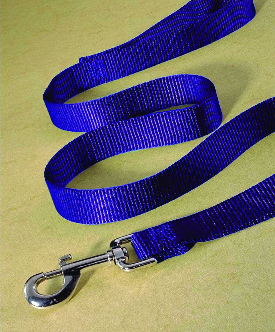 Single Thick Nylon Leash - Hot Purple