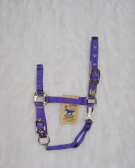 Nylon Adjustable Chin Halter - Prune - Average