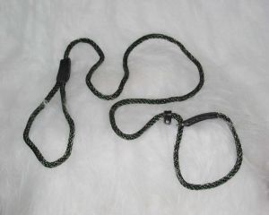 6' Quik Leash and Collar - Green/Tan