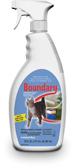 Boundary Cat Pump 22oz