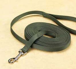 5/8" Training Lead - Olive (20')
