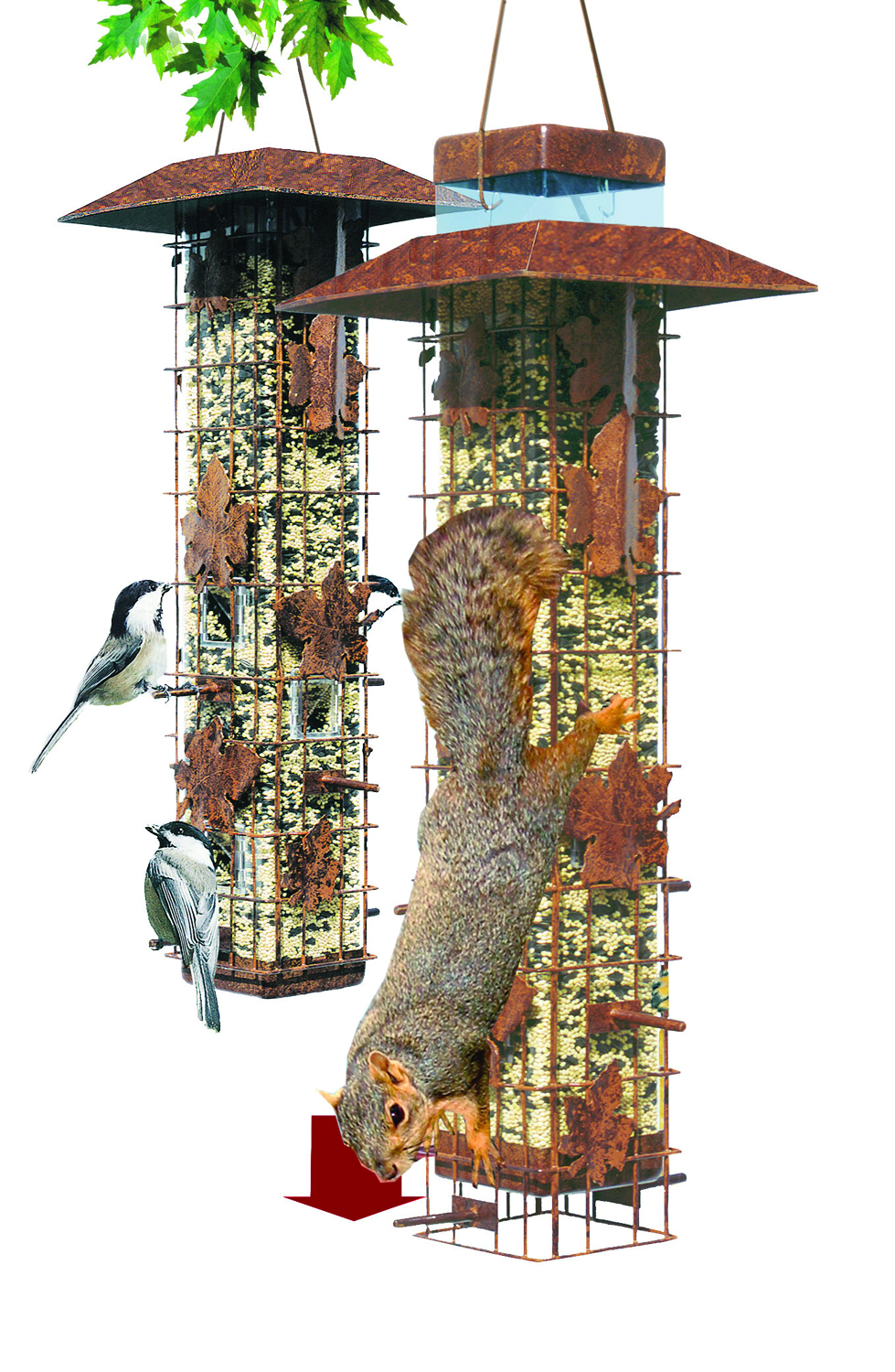 Squirrel Be Gone Feeder