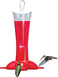 Glass Hummingbird Feeder