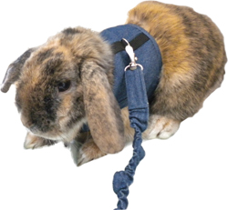 Rabbit Walking Jacket .175