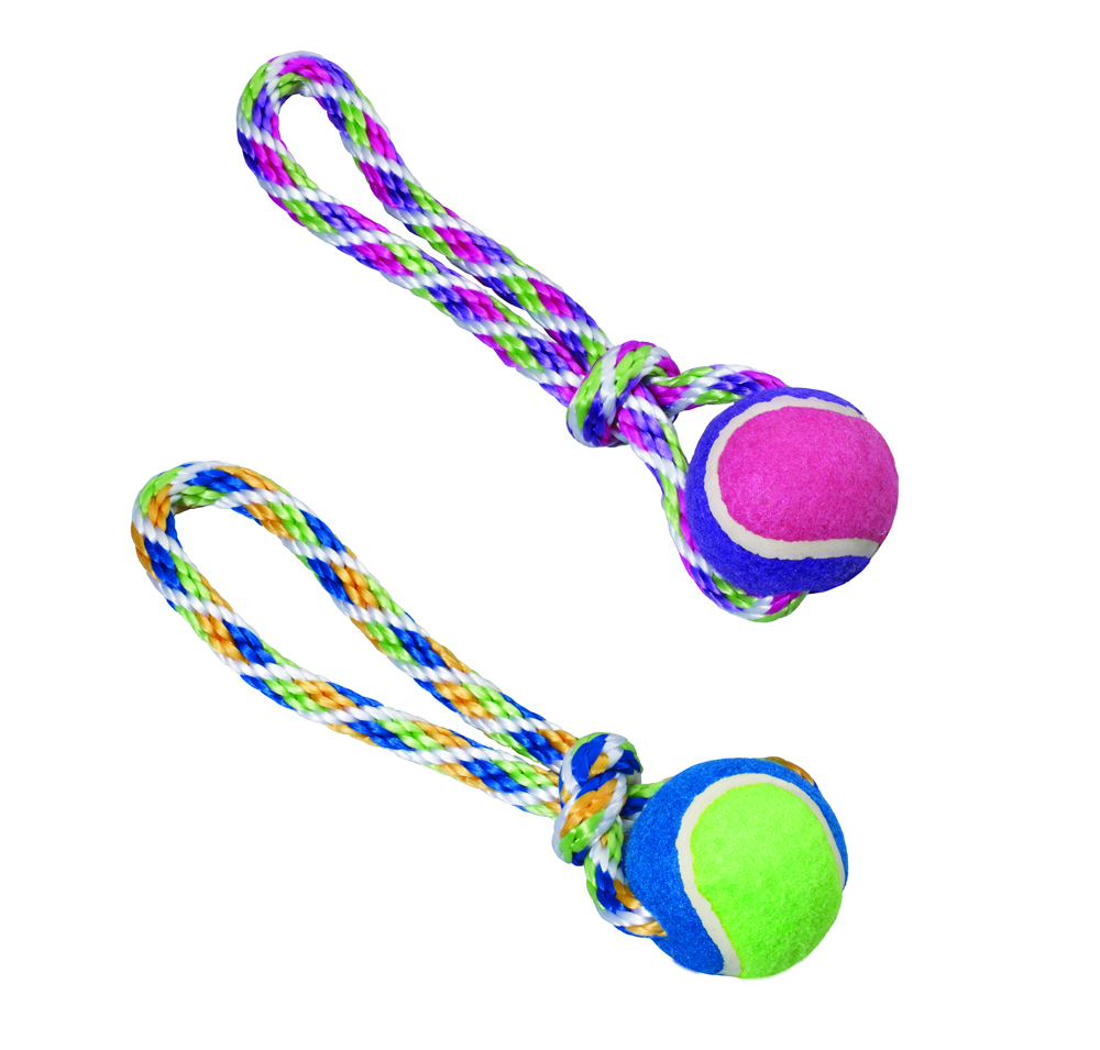 SPOT RAINBOW TWISTER TENNIS BALL TUG