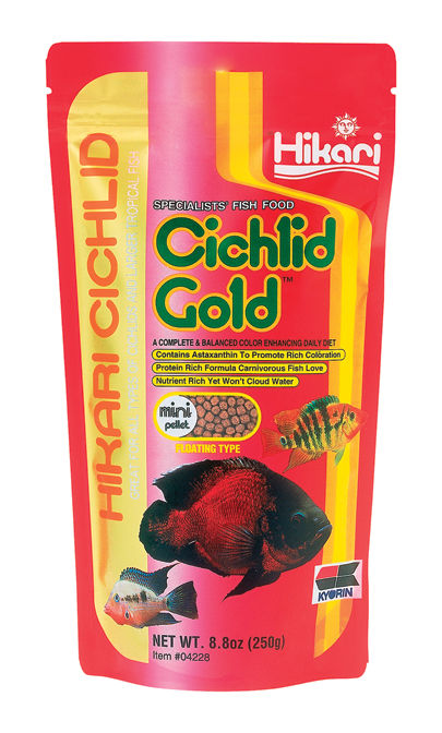 Cichlid Gold Mini