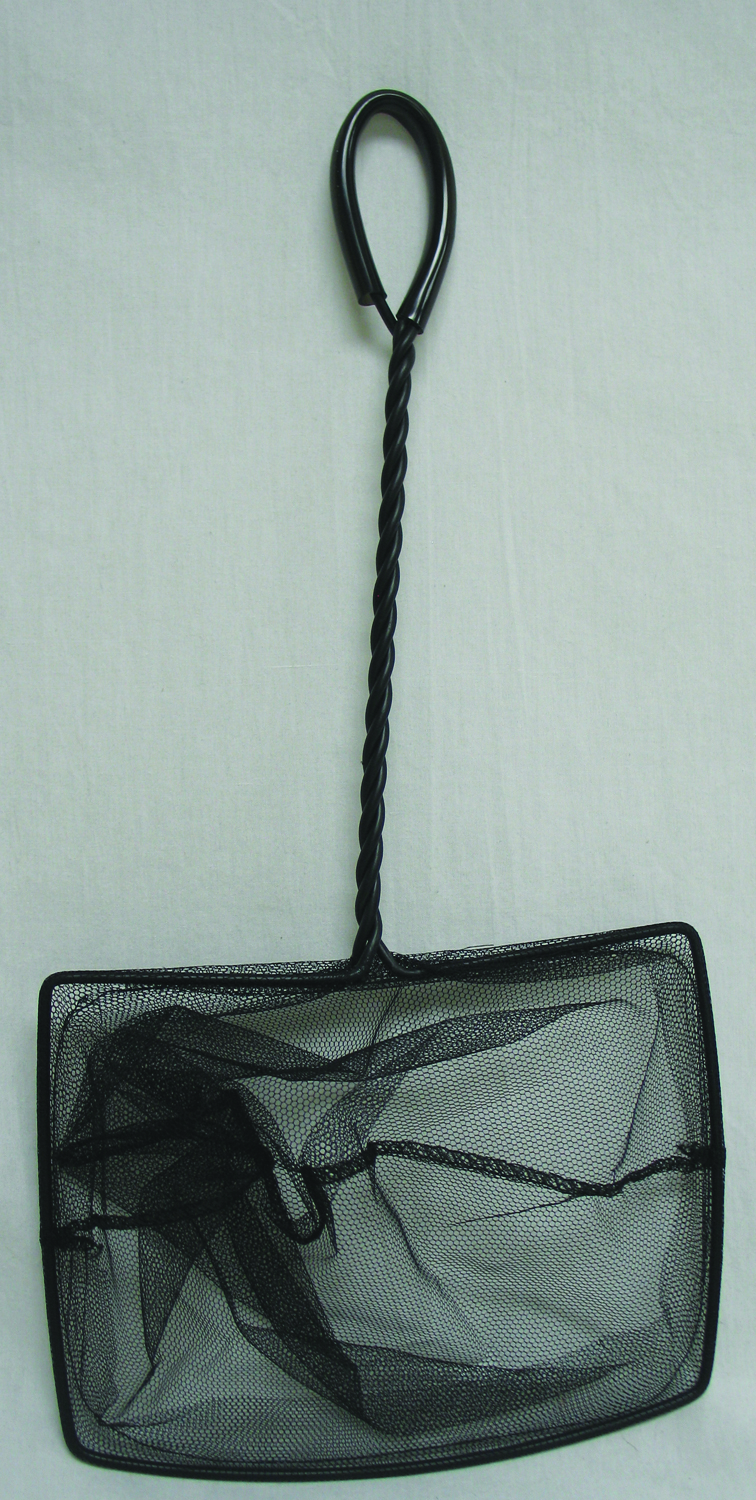 LAGUNA POND NET
