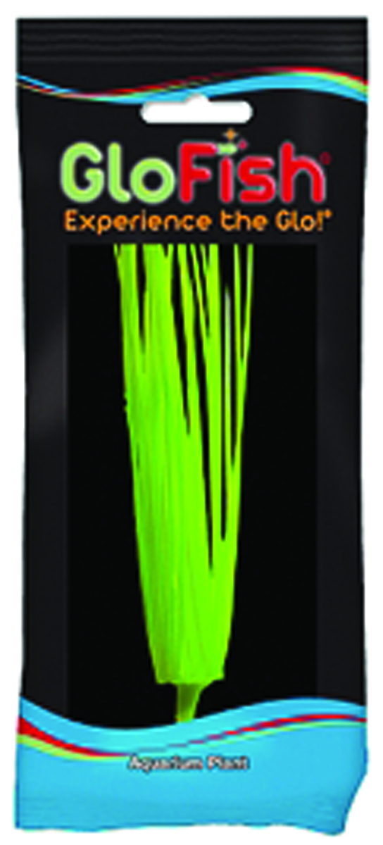 GLOFISH HAIRGRASS AQUARIUM PLANT