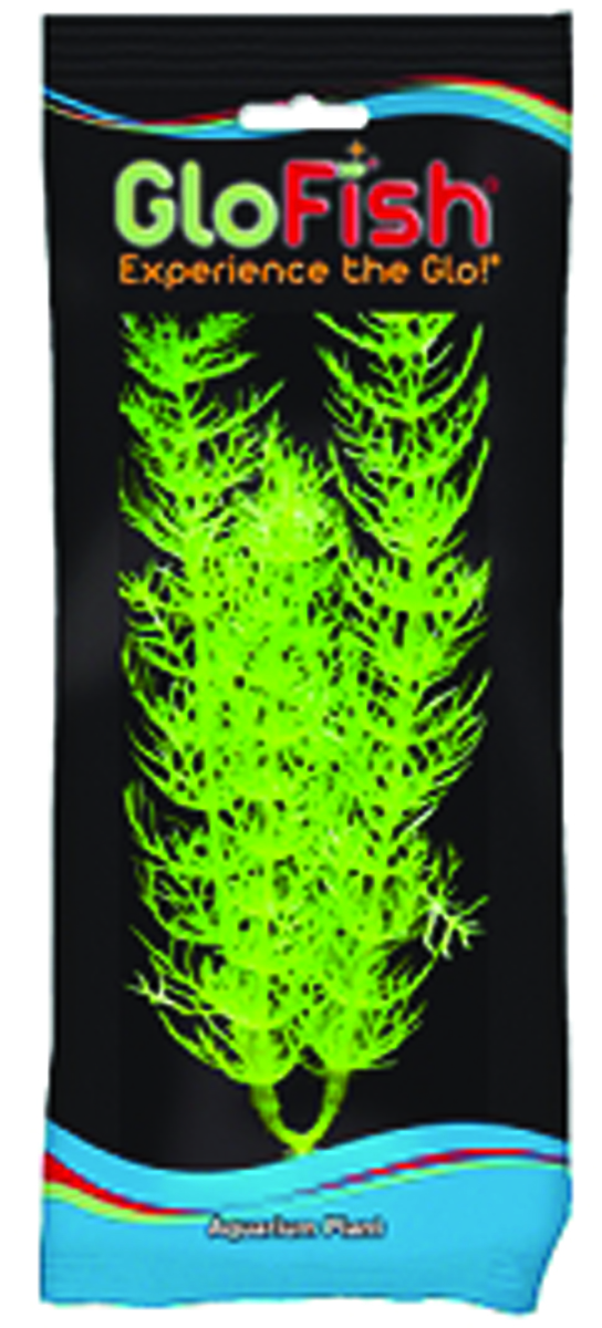 GLOFISH FOXTAIL AQUARIUM PLANT