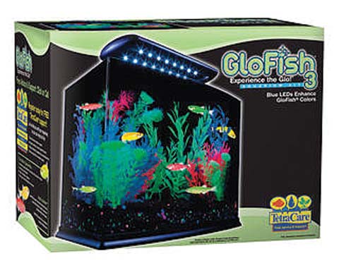 GLOFISH AQUARIUM KIT- RECTANGLE
